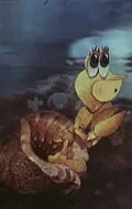 Отшельник и роза — постер