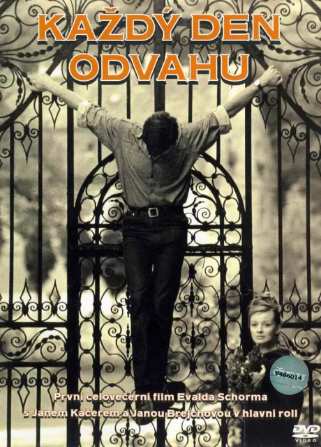 Отвага на каждый день — постер