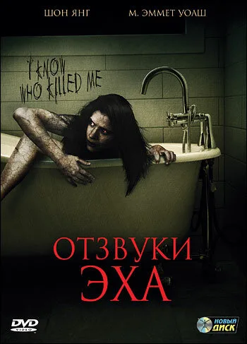 Отзвуки эха — постер