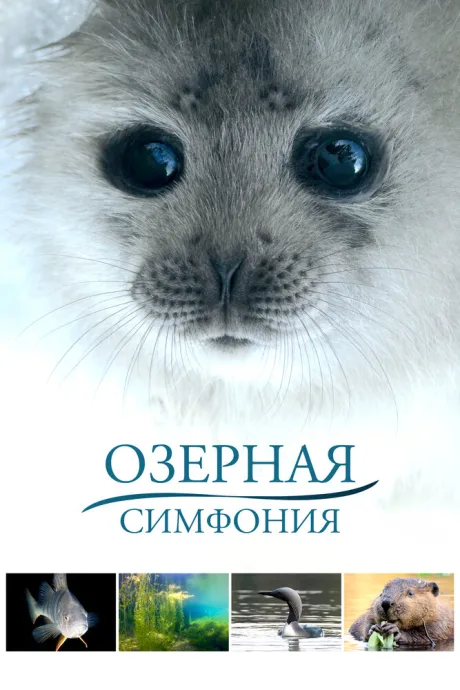 Озерная симфония — постер