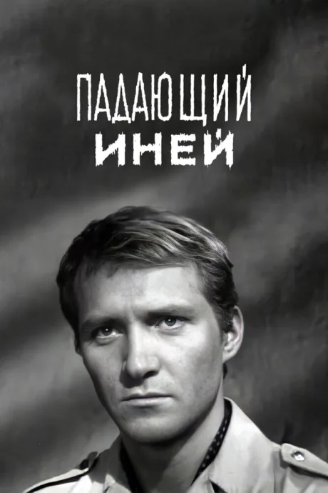 Падающий иней — постер