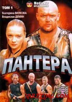 Пантера — постер