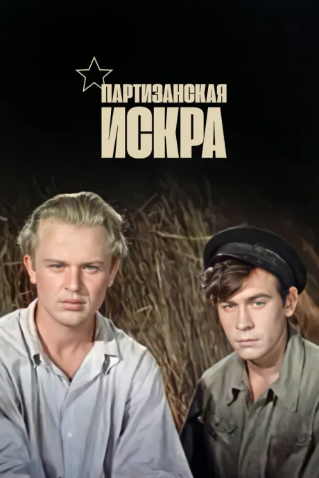 Партизанская искра — постер