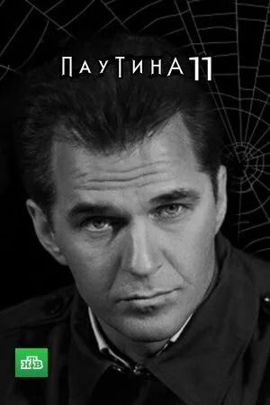 Паутина 11 — постер