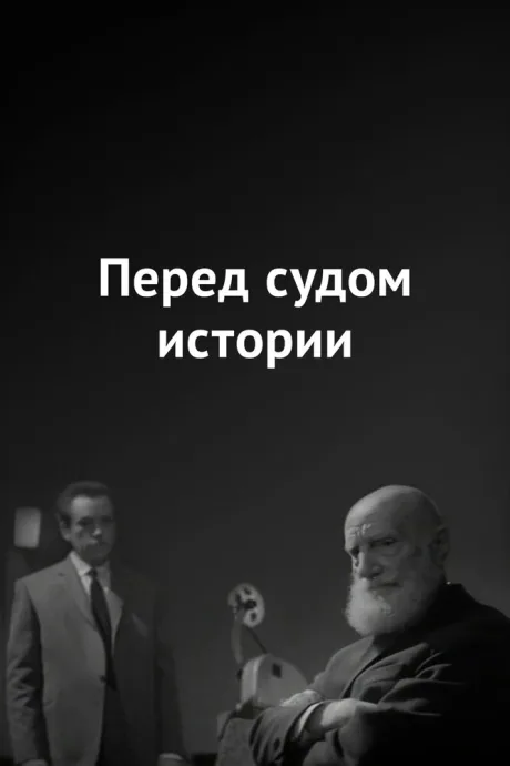 Перед судом истории — постер