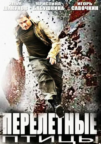 Перелётные птицы — постер