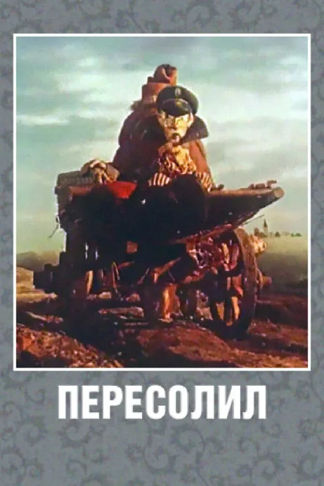 Пересолил — постер