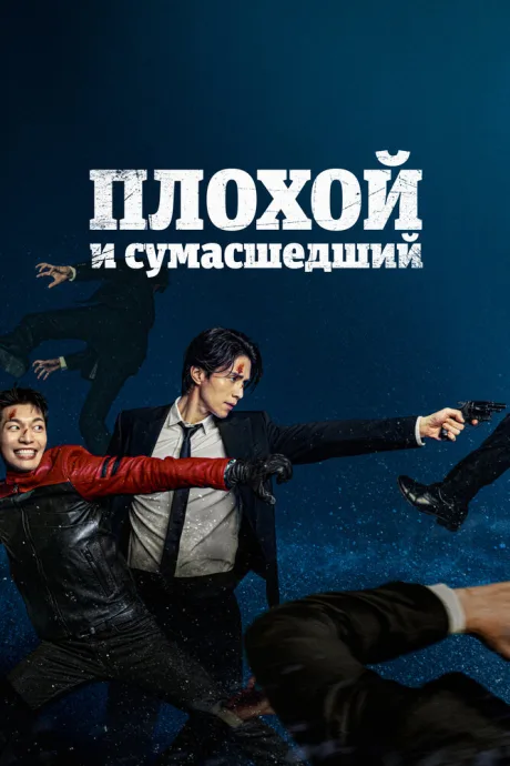 Плохой и сумасшедший — постер