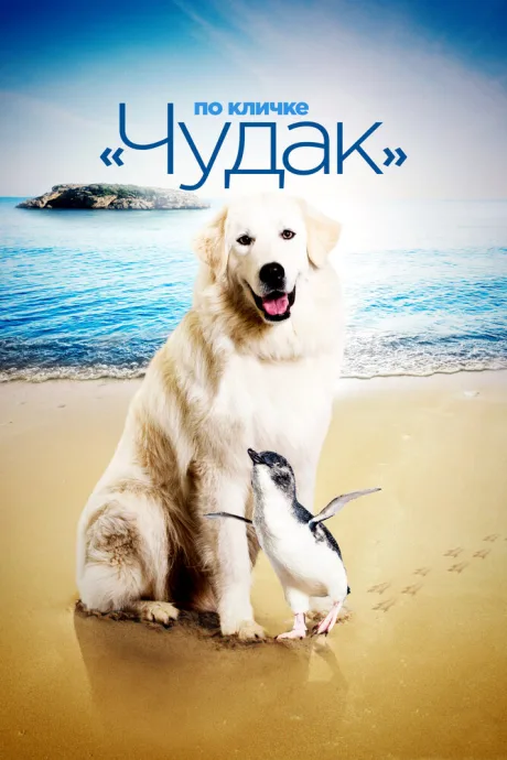По кличке «Чудак» — постер