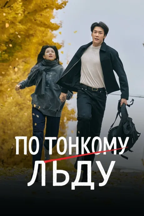 По тонкому льду — постер