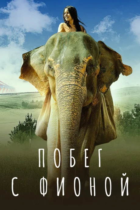 Побег с Фионой — постер