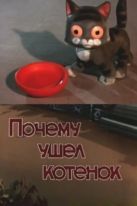 Почему ушел котенок — постер