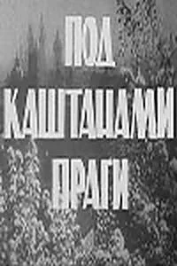 Под каштанами Праги — постер