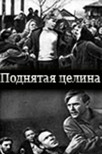 Поднятая целина — постер
