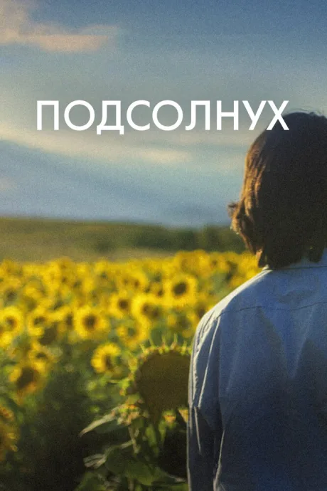 Подсолнух — постер