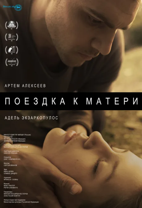 Поездка к матери — постер