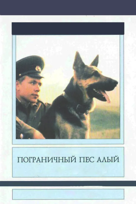 Пограничный пес Алый — постер