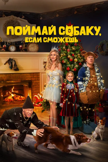 Поймай собаку, если сможешь — постер