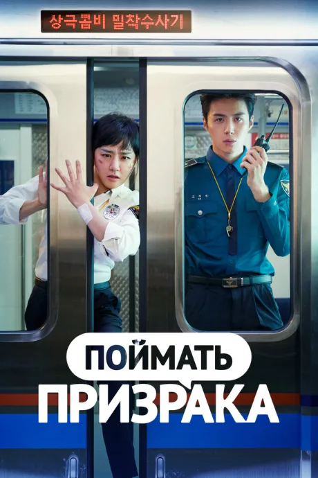 Поймать призрака — постер