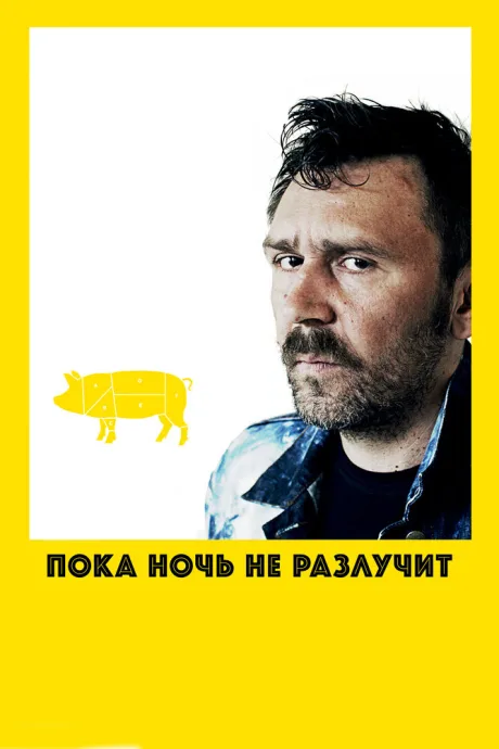 Пока ночь не разлучит — постер