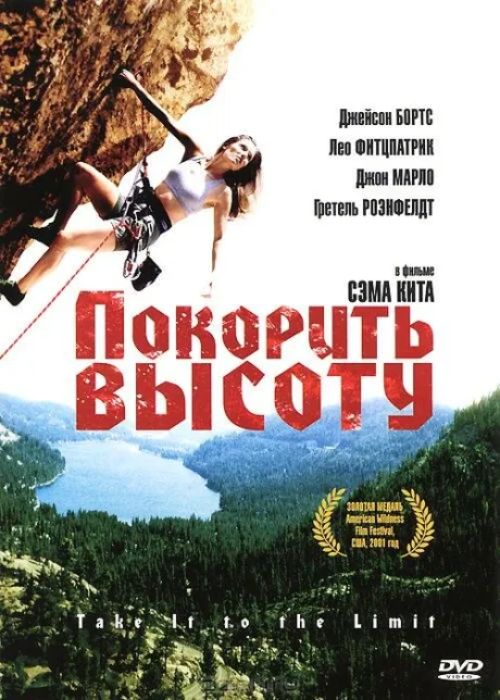 Покорить высоту — постер