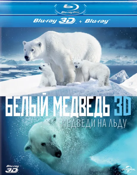 Полярные медведи — постер
