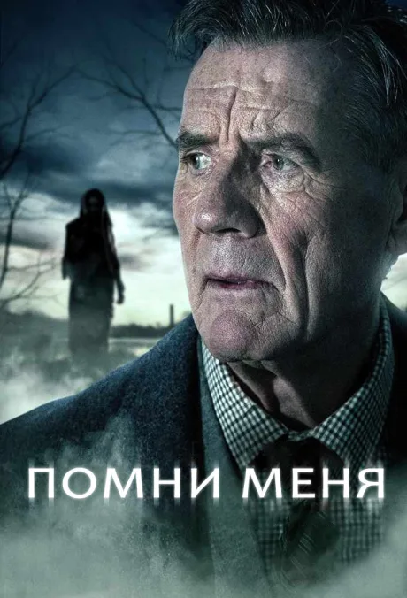Помни меня — постер