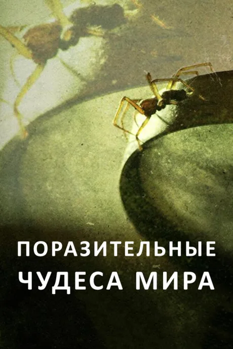 Поразительные чудеса мира — постер