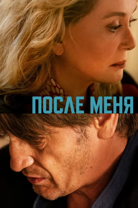 После меня — постер