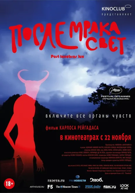 После мрака свет — постер