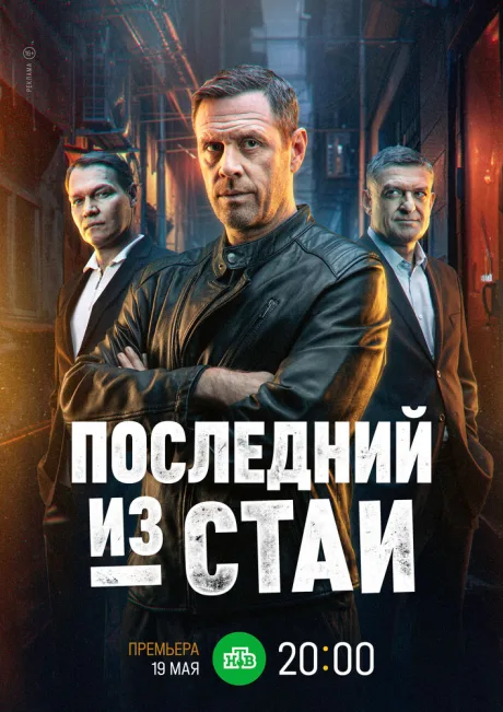 Последний из стаи — постер