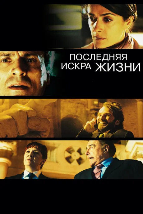 Последняя искра жизни — постер