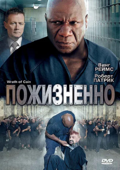 Пожизненно — постер