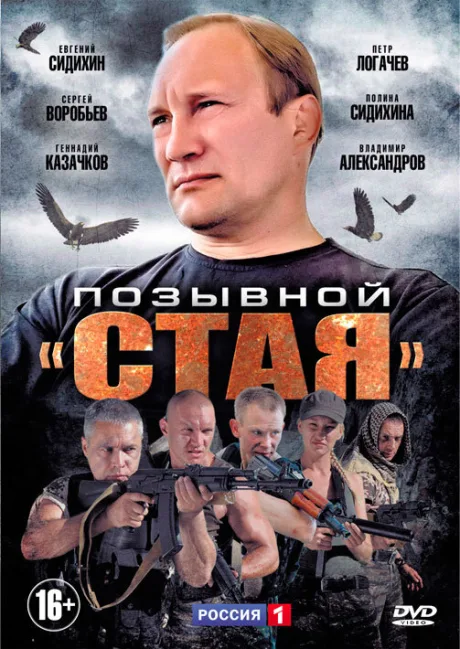 Позывной «Стая» — постер