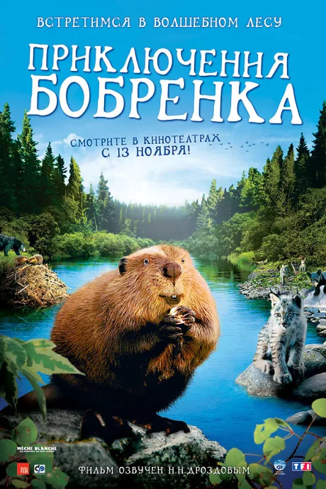 Приключения бобрёнка — постер