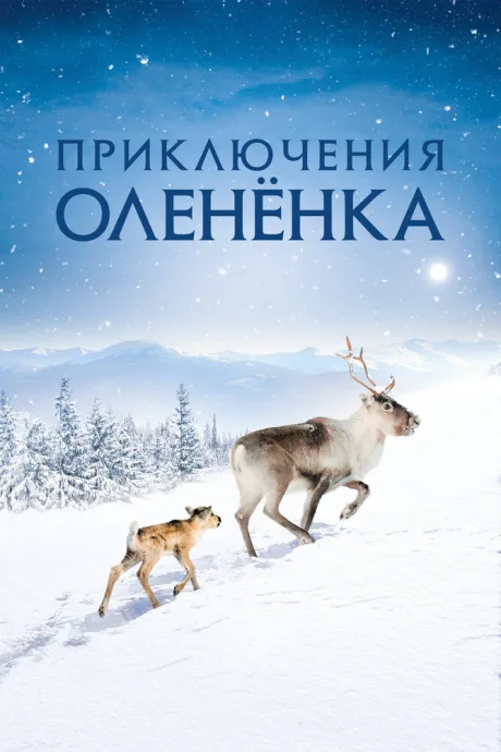 Приключения олененка — постер