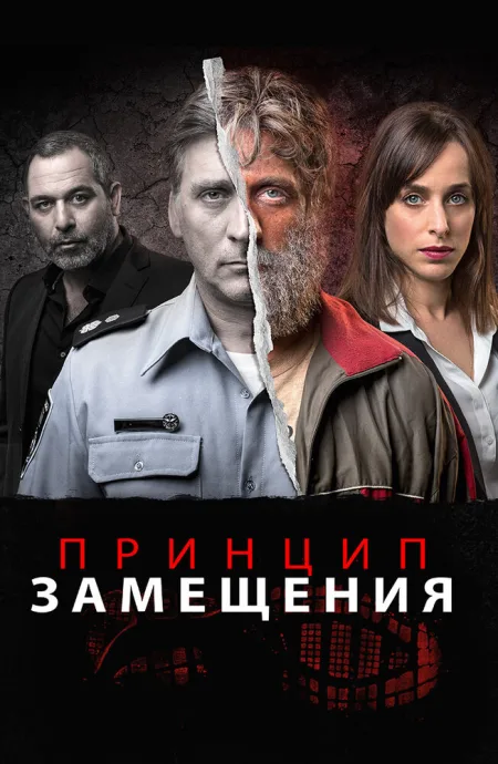 Принцип замещения — постер