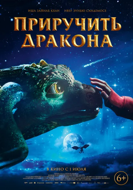Приручить дракона — постер
