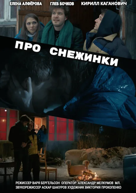 Про снежинки — постер