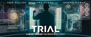 Проба — постер