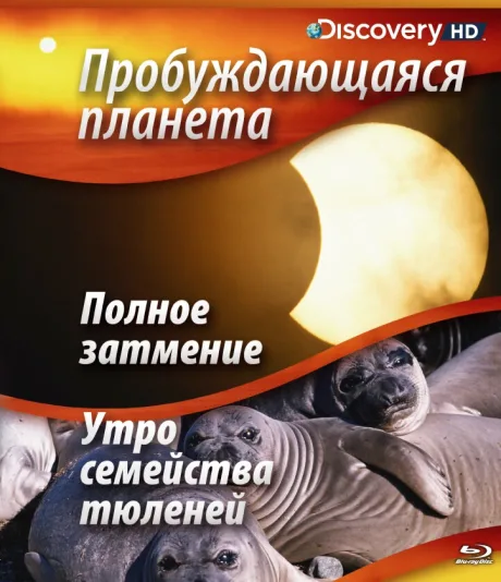 Пробуждающаяся планета — постер