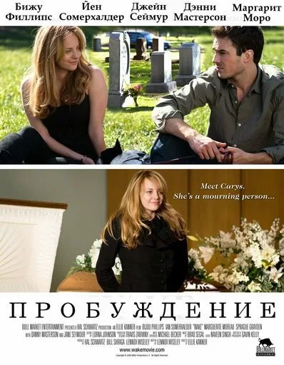 Пробуждение — постер