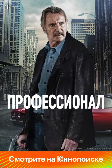 Профессионал — постер