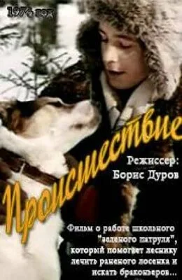Происшествие — постер