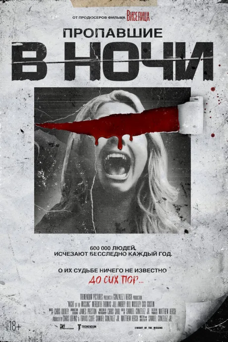 Пропавшие в ночи — постер