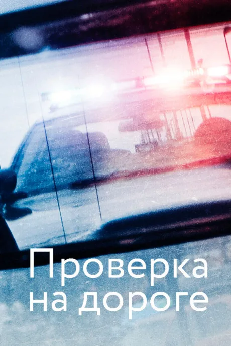 Проверка на дороге — постер