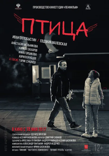 Птица — постер