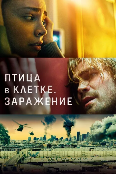 Птица в клетке. Заражение — постер