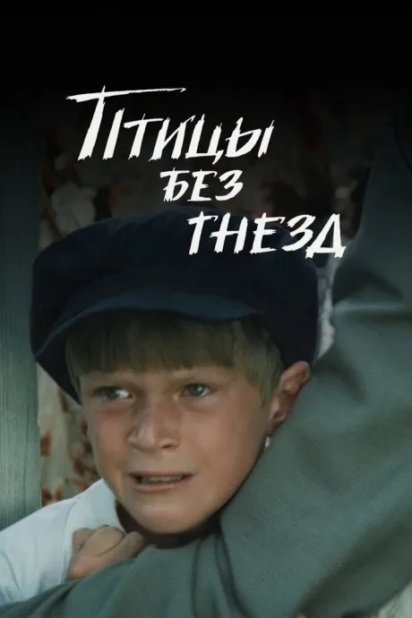 Птицы без гнезд — постер