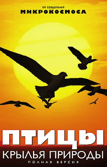 Птицы: Крылья природы — постер